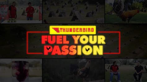 Fuel Your Passion with Thunderbird .